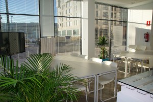 sala de juntas con plantas