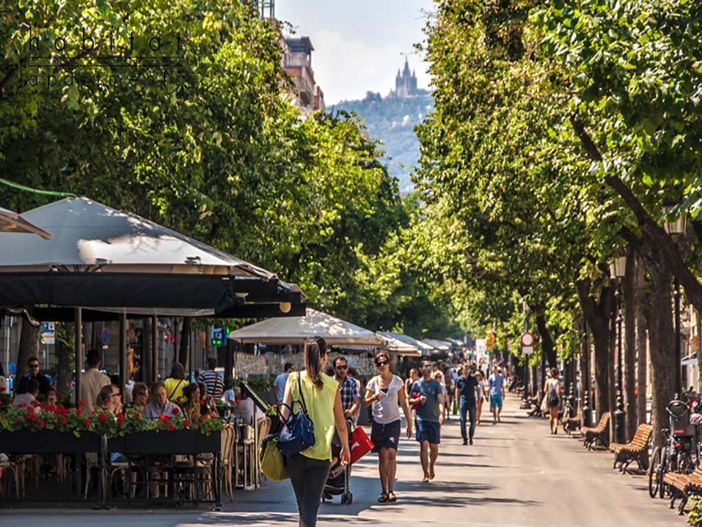 local-alquiler-barcelona-rambla-de-catalunya (2)