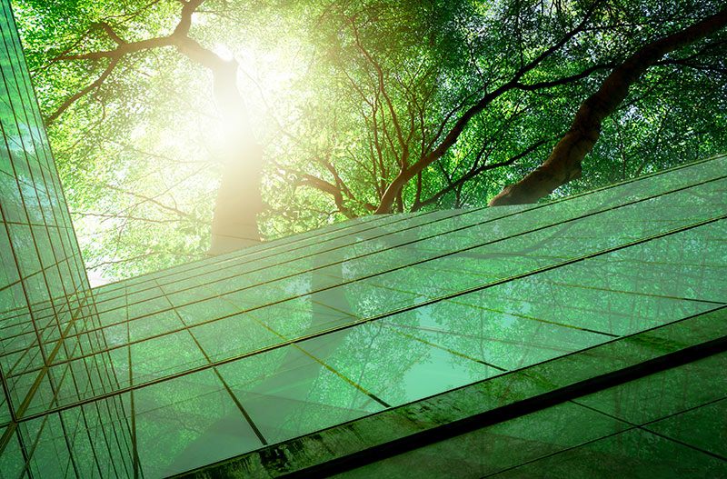 CW-ley-restauracion-naturaleza