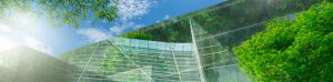 CW-ley-restauracion-naturaleza01