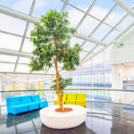 oficina-alquiler-madrid-alcobendas-bruselas-36-zonas-comunes-.jpg