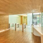 ALQUILER-OFICINAS-MADRID-PASEO-DE-LA-CASTELLANA-280-28046-MADRID-TORNOS.jpg